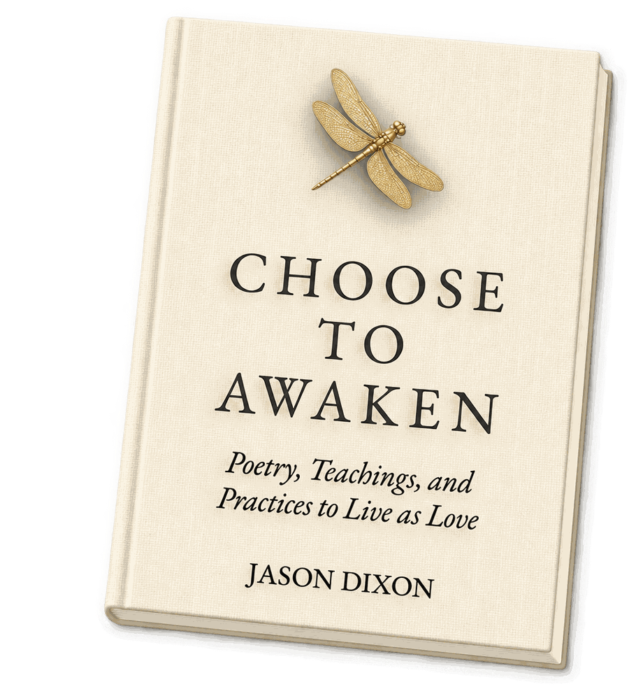 Choose to Awaken, hardcover edition